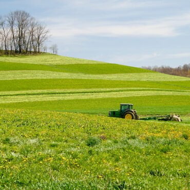 Meuse : six hectares de culture partent en fumée à Cheppy