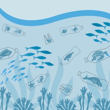 Haut-Rhin : opération de sauvetage d'urgence pour les poissons de la Thur