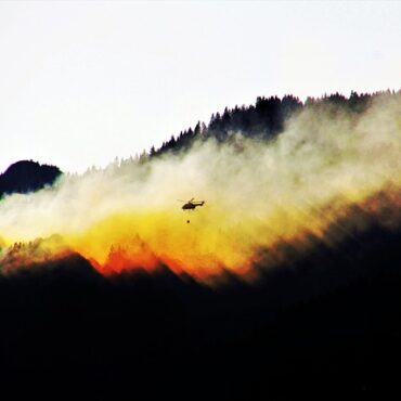 Forêt de Fontainebleau : la surveillance incendie se poursuit