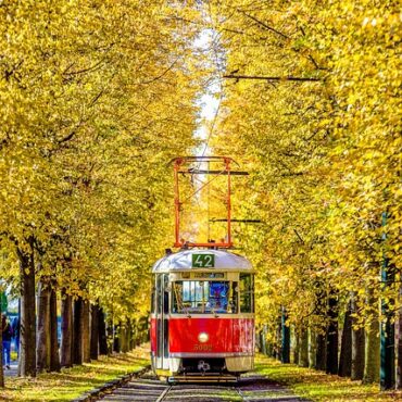 Strasbourg : le réseau de tram fortement perturbé par d'importants travaux