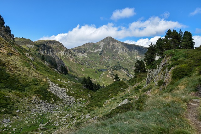 Arrière-plan