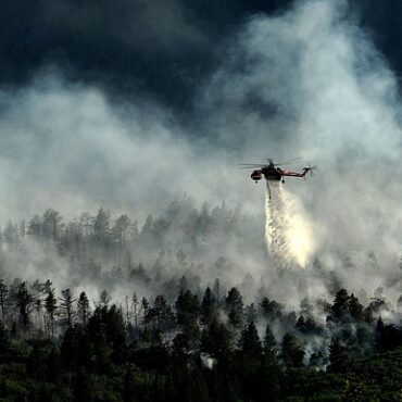 Drôme : un violent incendie ravage 110 hectares à Bellegarde-en-Diois