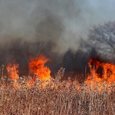 Gironde : le feu de Saumos sous contrôle mais la vigilance reste de mise