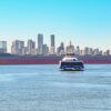 Cherbourg : Brittany Ferries stoppe le transport maritime de veaux