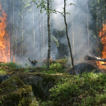 Gironde : le Premier ministre en visite pour orchestrer la reconstruction après les incendies