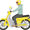 Trottinettes à Paris : le casque et le gilet deviennent obligatoires