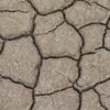 Sécheresse en Lozère : mesures d&rsquo;urgence et restrictions drastiques