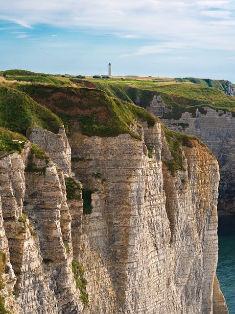 Arrière-plan
