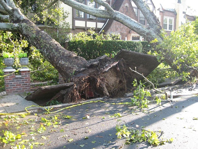 Lot-et-Garonne : une tornade sème le chaos à Lafitte-sur-Lot