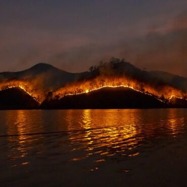 Feux du 15 août en Bretagne : les préfectures serrent la vis face au risque d'incendie