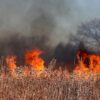Violent incendie à Pornic : 15 hectares dévastés et des dizaines de riverains évacués