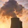 Gravelines : une invasion de méduses paralyse la centrale nucléaire