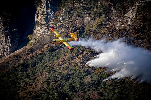 Feu de forêt majeur dans les Landes : mobilisation massive à Luglon