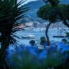Drame en mer au large de Cannes : collision entre deux navires et une personne disparue