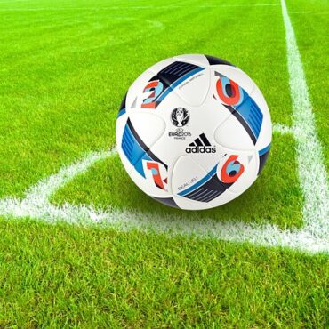 Moselle : des terrains de foot saccagés par des incursions de sangliers