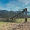 Gironde : un ESAT lourdement sinistré après une tornade à Captieux