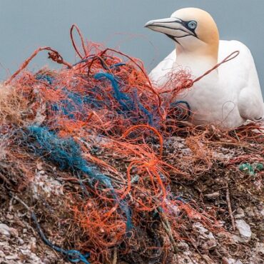 Savoie : une pollution plastique au cœur d'une enquête judiciaire à Saint-Sorlin-d'Arves