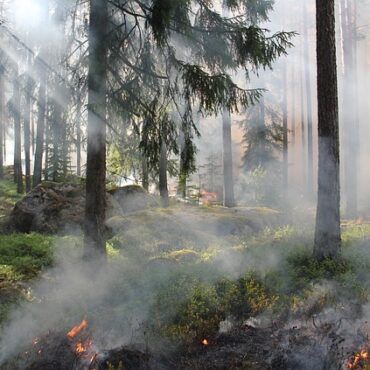 Gironde : le brasier sous contrôle mais des évacuations maintenues