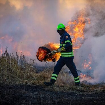Ploërmel : deux hectares de végétation dévorés par les flammes au Courégant