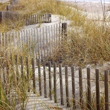 Pornic : un incendie de végétation maîtrisé près de la plage