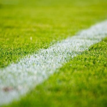 Valff : le terrain de football dévasté par une harde de sangliers