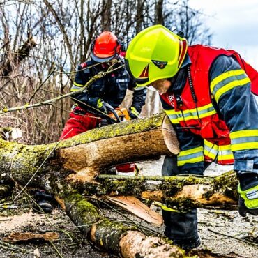 Bilan lourd après l'incendie de Calenzana et Montegrosso