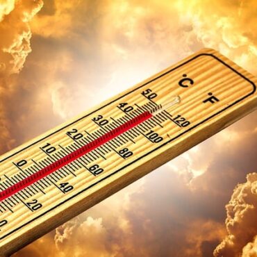 Strasbourg : un pic de chaleur inédit pulvérise un record vieux de 79 ans