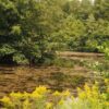Wiwersheim : l&rsquo;étang interdit d&rsquo;accès à cause d&rsquo;une pollution bactérienne