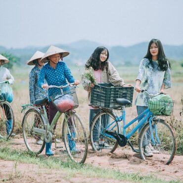 Vestige militaire en Côte-d'Or : un marcheur tombe sur un engin explosif près de Sombernon