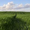 Monts d&rsquo;Arrée : une manifestation contre le déclassement des zones nitrates