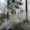 Alerte incendies : le Sud sous haute surveillance ce jeudi
