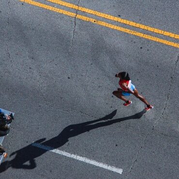 Marathon de Lille : un arbre s'effondre et blesse grièvement un coureur
