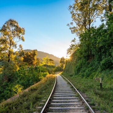 RER D paralysé par des arbres : la SNCF attaque en justice le propriétaire du château de Dammarie-lès-Lys